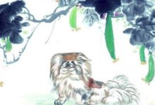 生肖狗 十月運勢詳解!-酷播亮新聞