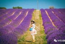 【攝影技巧】這20個拍照技巧，十一絕對用得上！-酷播亮新聞