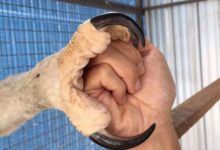 世界那麼大，你不可能都去看看，但可以讓你大開眼界！-酷播亮新聞