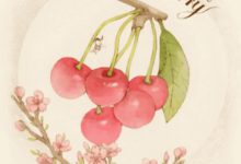 星座合盤助你走進ta的內心！-酷播亮新聞