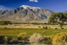 今晚攝影小教室 | 好看的風景圖片，應該這樣拍！-酷播亮新聞