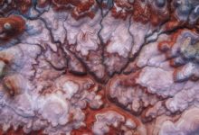 【行攝招募】2018年探訪美西祕境自駕攝影團-酷播亮新聞