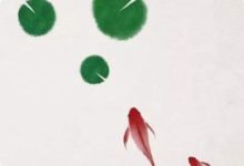 姜群：卜算測試，看一看近期你哪項運勢當旺！-酷播亮新聞