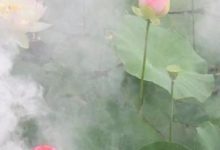 這三大生肖的財運會持續三天，三天內能上財富榜-酷播亮新聞