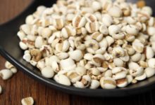 10個女人9個濕氣重，白開水裡泡幾粒，輕鬆趕走體內多年濕氣！-酷播亮新聞