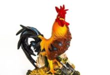 9月21、22日生肖雞雄雞變鳳凰，生肖猴運勢一躍千里-酷播亮新聞