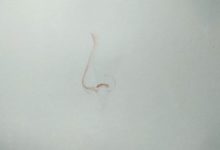 彩鉛畫人物五官之鼻子，詳細教程出爐，適合初學人物的你！-酷播亮新聞