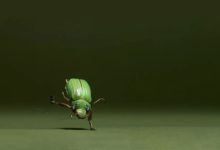 簡單實用的設計經驗！-酷播亮新聞