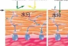 這7個護膚常識足以毀掉你的臉！千萬別再相信了！-酷播亮新聞