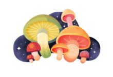 PS教程/蘑菇噪點插畫-酷播亮新聞