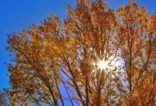 單反攝影——從前期到後期，怎樣拍出通透的逆光風景照片-酷播亮新聞