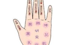 手相中的幾種富貴線：財運難擋，註定大富大貴！-酷播亮新聞