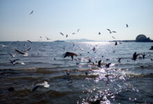 攝影：是發現美的過程-酷播亮新聞