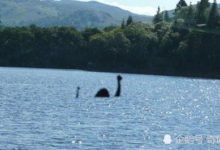 英國女孩照片驚現「水怪」，專家表示很吃驚：這是拍得最棒的相片-酷播亮新聞