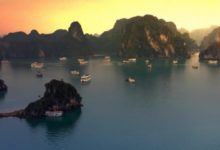 喜鵲報喜了，財運送財了，4大生肖10月份起，大財連發-酷播亮新聞