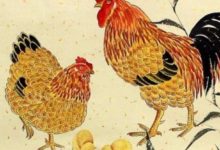 命運造化弄人，1969年「50歲雞」有此等小人，小心害你！-酷播亮新聞