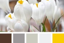 自然柔美的配色方案-酷播亮新聞