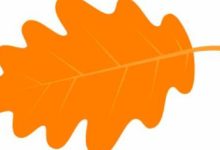 你的婚姻里會出現小三嗎？你的手告訴你-酷播亮新聞