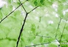 手機攝影20個小技巧-酷播亮新聞