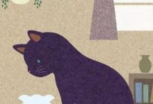 做12星座男的第幾任戀人最幸福？-酷播亮新聞