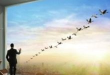 八字分析一生勞碌，小財不缺，大事難成的生肖人-酷播亮新聞