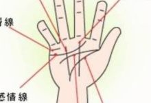 8分鐘教你看手紋識手相-酷播亮新聞