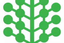 單身的你知道嗎，為什麼油條非要兩根纏在一起炸？-酷播亮新聞