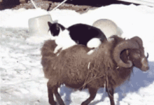 睡不好，多半是因為你算錯了「數學題」？-酷播亮新聞