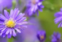 上有菩薩，下有貴人！十月中旬，正財偏財滾滾來，事事順、財源廣-酷播亮新聞