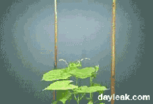 99％的人卻一個都沒見過的，生活中最常見的原理圖……-酷播亮新聞