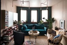 夢回 非洲草原-酷播亮新聞