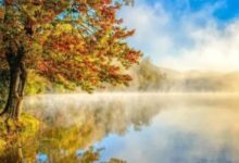 恭喜，10.1國慶喜鵲枝上叫，鐵定腰纏萬貫，幸福進門的生肖-酷播亮新聞