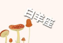 12星座10月15日運勢：天蠍財運令人羨慕，雙魚感情出現瓶頸-酷播亮新聞