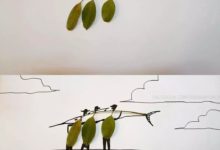 如何用殘花敗柳做創意設計？-酷播亮新聞