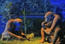 揭秘世界未解之謎：達爾文的進化論為什麼會出現這些錯誤？-酷播亮新聞