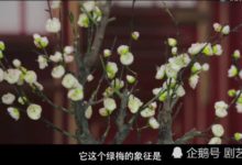 《如懿傳》綠梅埋下多次伏筆，竟還有這層含義，周迅理解的好到位-酷播亮新聞