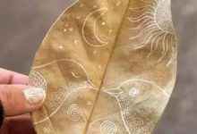 秋天，落葉這麼玩才有趣！-酷播亮新聞