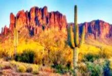 世界未解之謎：迷信山金礦之謎為什麼那麼多人有去無回？-酷播亮新聞