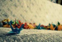 宮頸炎，女性不可忽視的疾病-酷播亮新聞