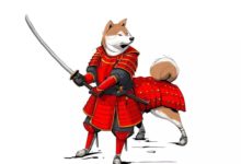 狗狗 化身為戰士-酷播亮新聞