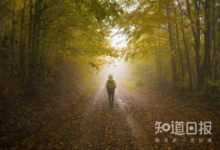 被蛇咬傷，不能奔走，為什麼？-酷播亮新聞