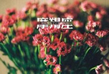 重視實力忽略外表的星座，他們絕對不會以貌取人-酷播亮新聞