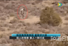 世上真的有吸血鬼嗎？還只是瘟疫作怪？-酷播亮新聞