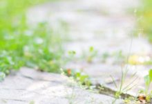 總是皇帝不急太監急的生肖有你嗎？-酷播亮新聞