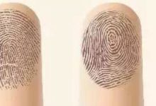 手相：指紋的渦紋和流紋各有什麼含義？-酷播亮新聞