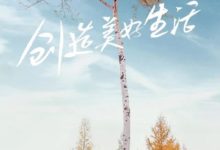 《親愛的客棧》內向的武藝：我們不是不合群，而是我們習慣慢熱-酷播亮新聞