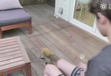 181007 你的腿VS王源的腿 你藍瘦嗎？-酷播亮新聞