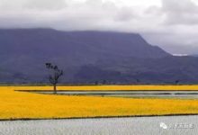 【攝影知識】攝影眼是什麼？如何培養？-酷播亮新聞