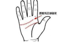 手相圖解：花心的人手相如何？-酷播亮新聞