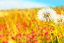 命理看，擁有這些特徵的女人，事業有成，能嫁貴夫-酷播亮新聞